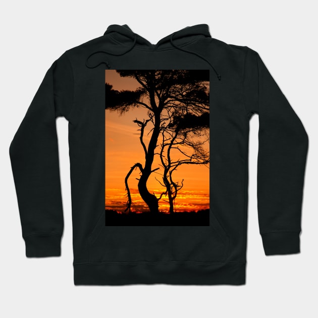 Dance me to the end of love Hoodie by Cretense72